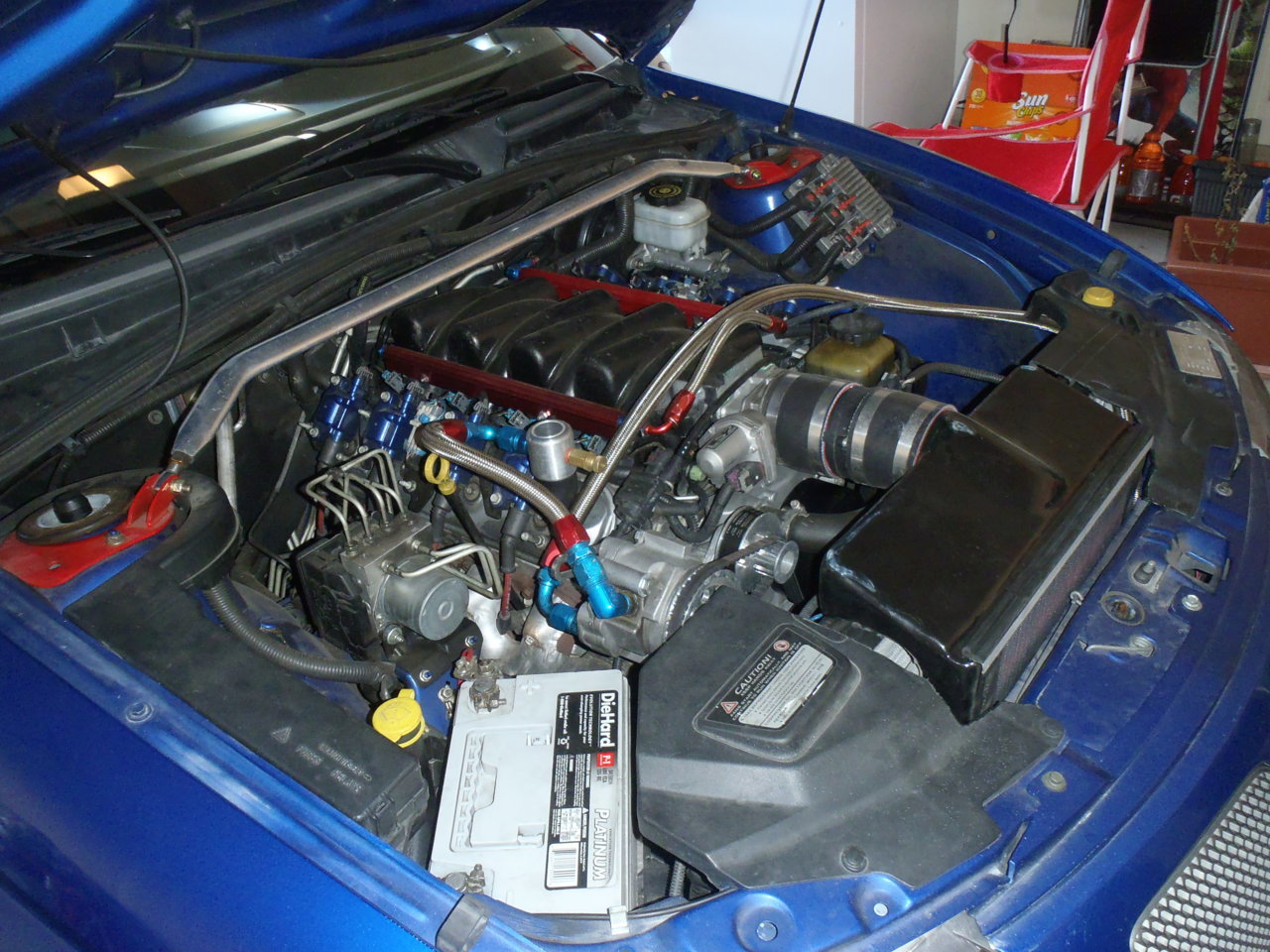 P1090294.jpg