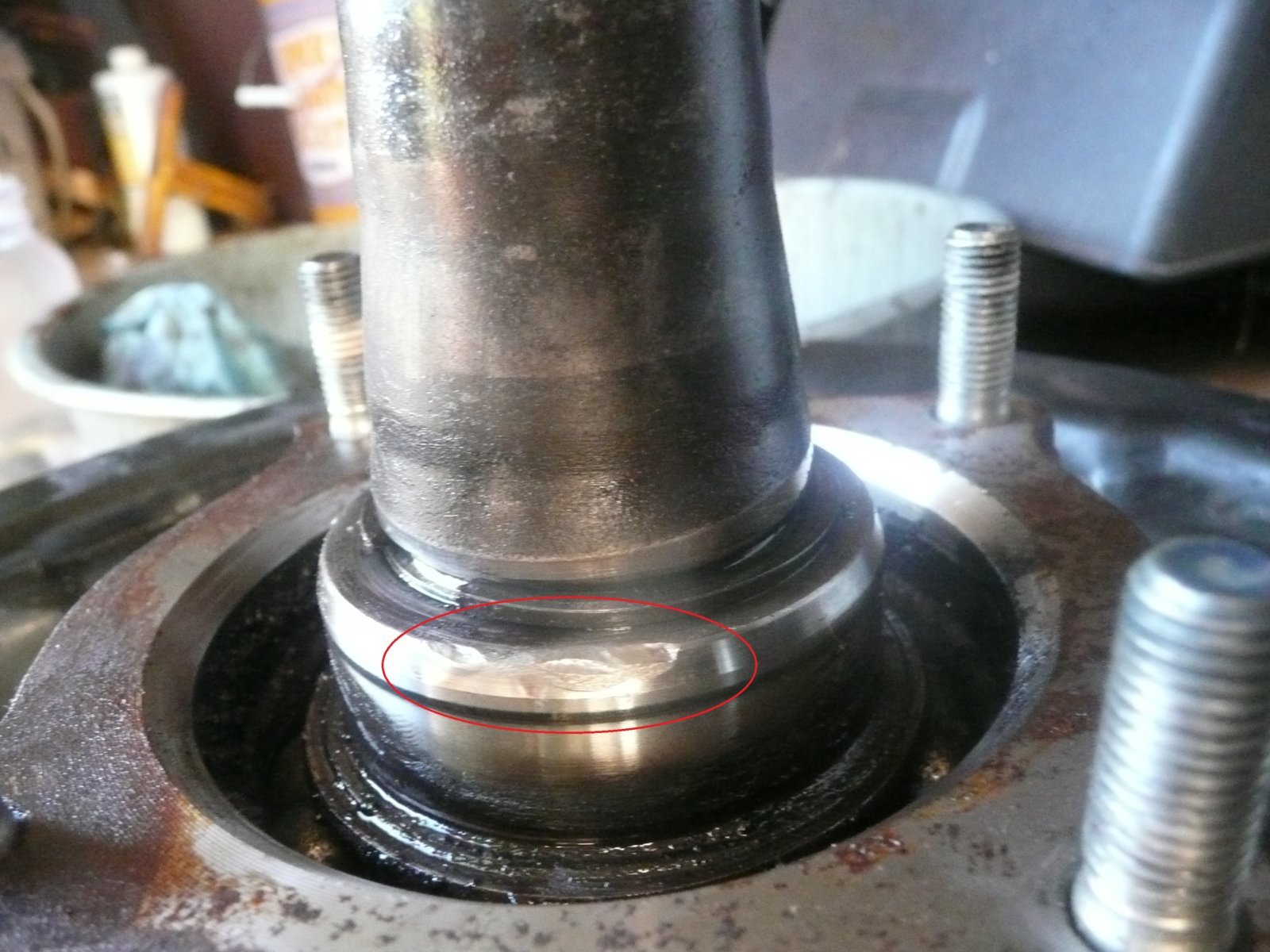 P1090954  gouge.jpg