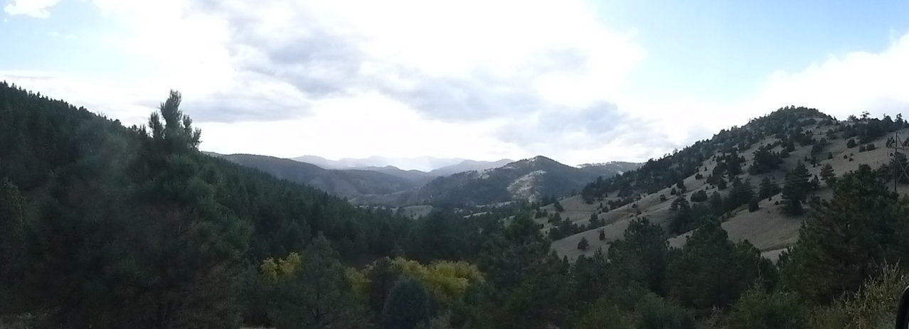 P1110554.jpg