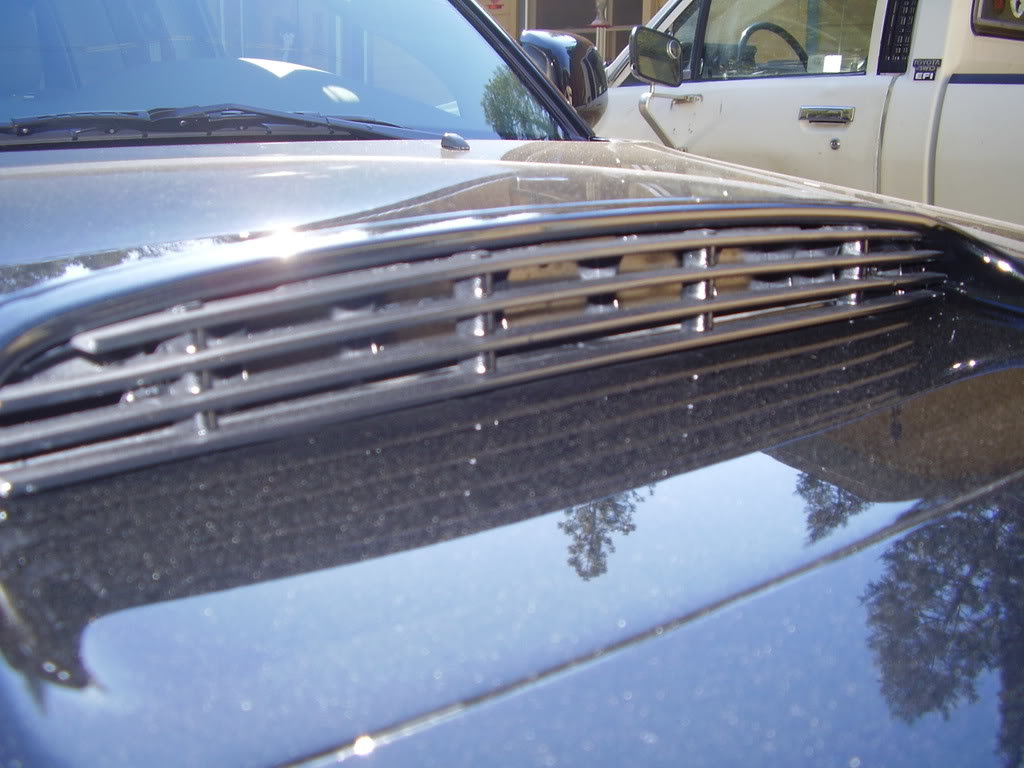 P1170025_2ff8b1c86db098797a80ab5df1e9fa07bd0abca8.jpg