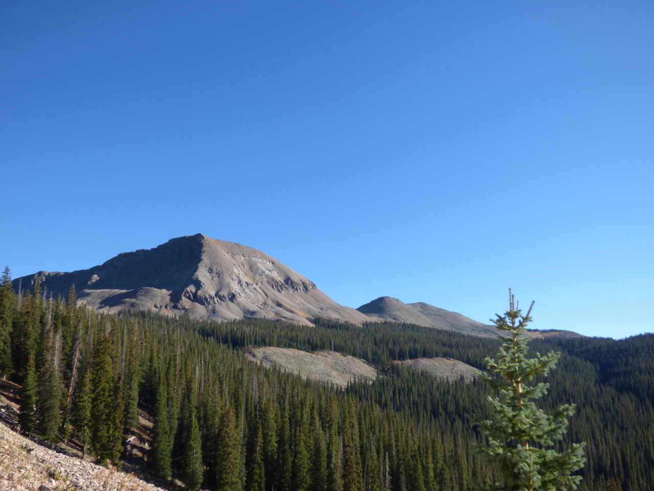 P1220201.jpg