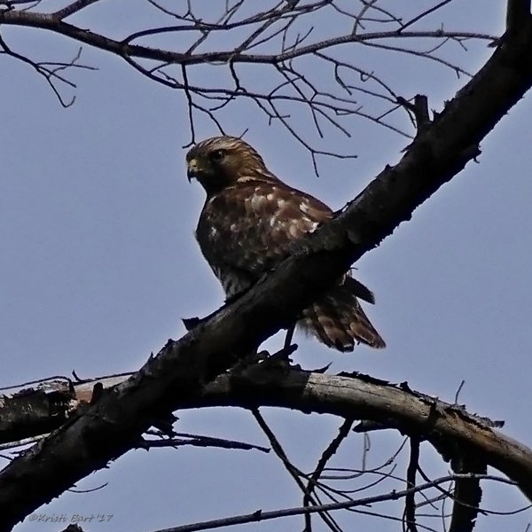 P1220910s.jpg