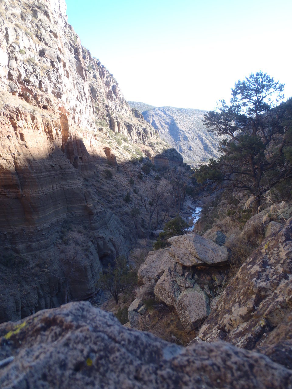 P1261116.jpg