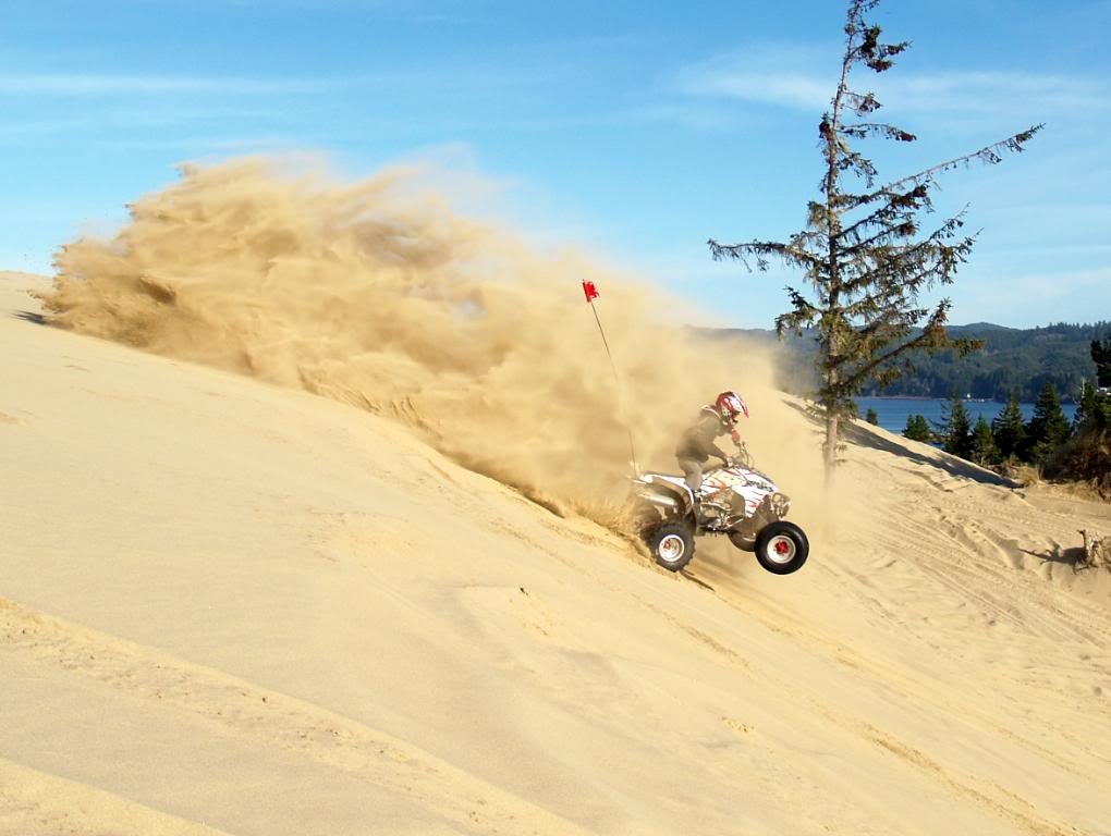 P1311920_8ac9026b65970c030837e332f79e21df04fecd52.jpg