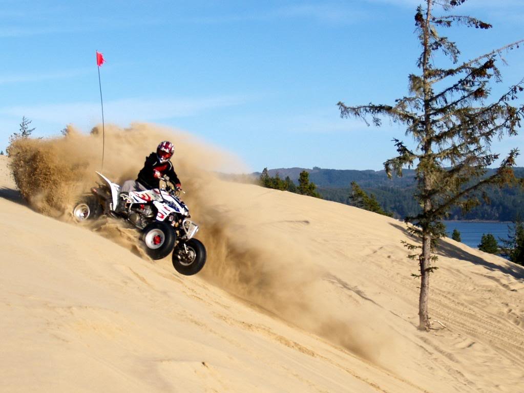 P1311922_27a16494e5ab25b500285d136030b0d475ed2d9b.jpg