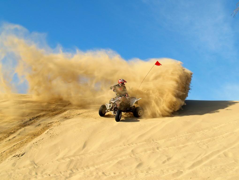 P1311932_83d5bf6d5365ff2fd648169291af9d010afc9db3.jpg