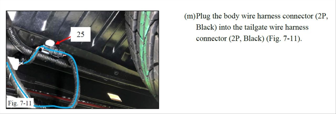 p19.jpg
