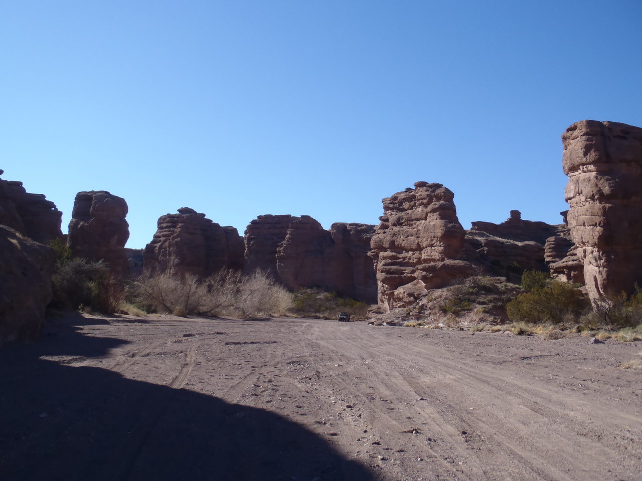 P2251641.jpg
