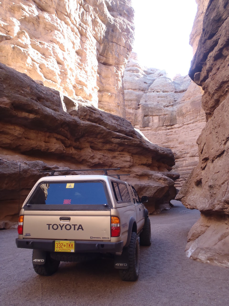 P2251645.jpg