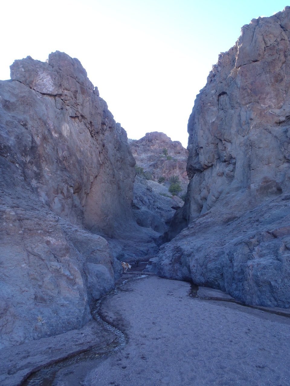 P2251663.jpg