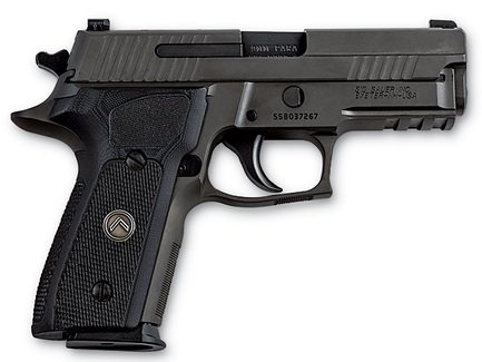 P229.jpg
