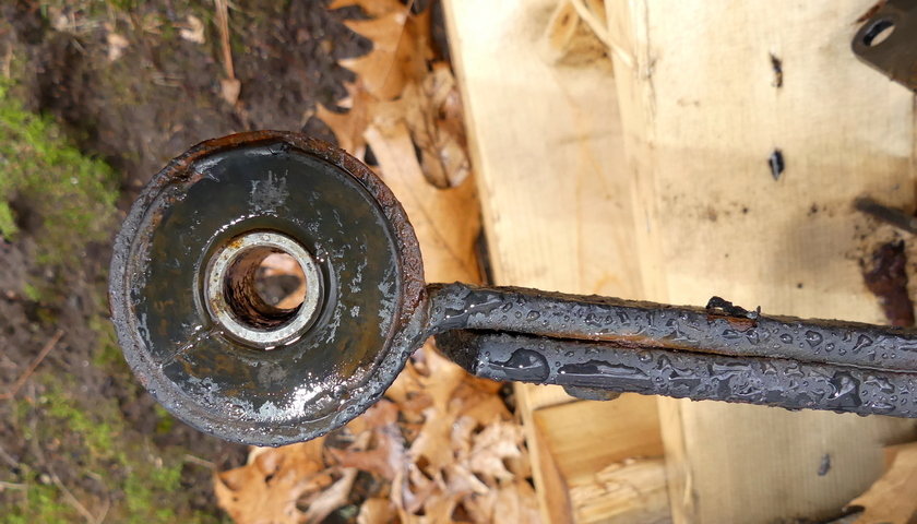 P2590144.jpg