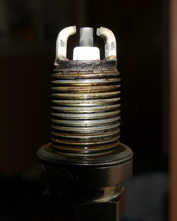 P2590184.jpg
