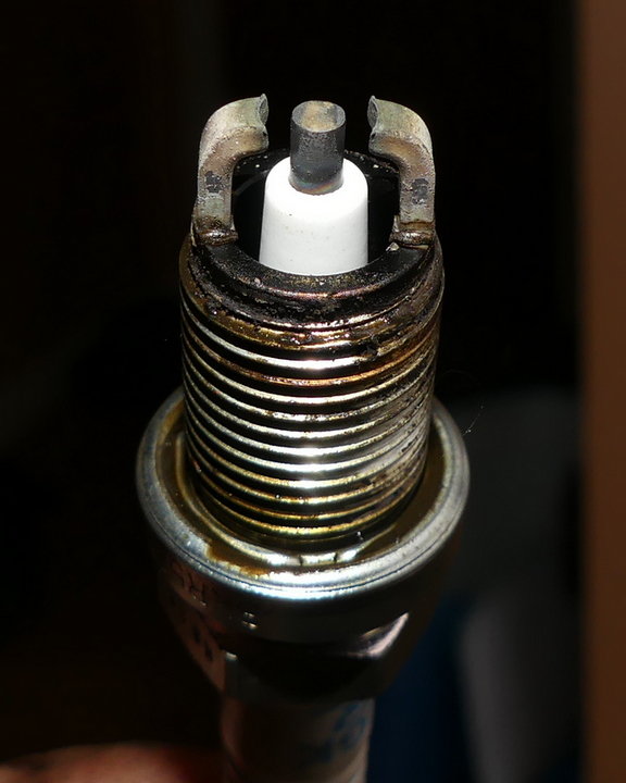 P2590186.jpg