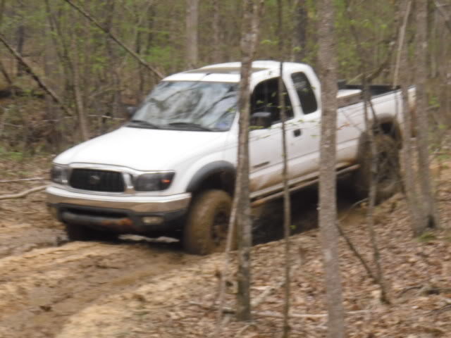 P3030038_49299869fa325ead401f7edda78022f3ffece8ce.jpg