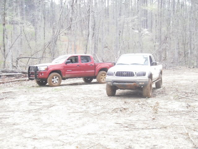 P3030039_7edb15e0357f8a714ee0c2f0825770ac01ccbdfb.jpg