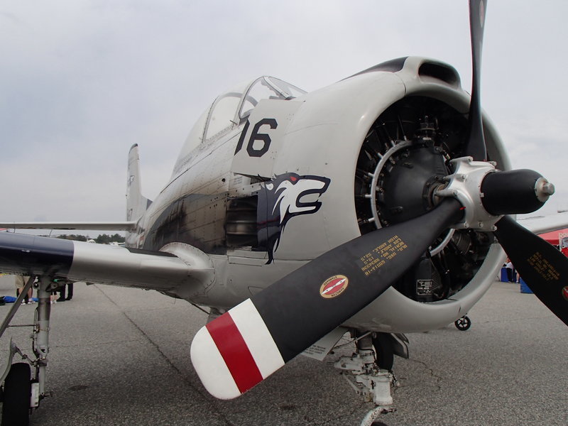 P3153220.jpg