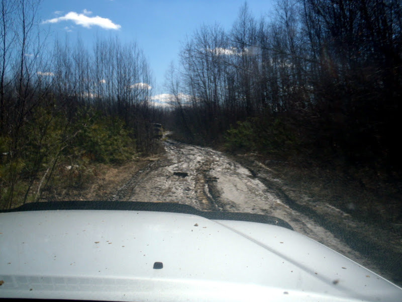 P3260020_73948cfdeef0ea2715e19532716644348471ca3f.jpg