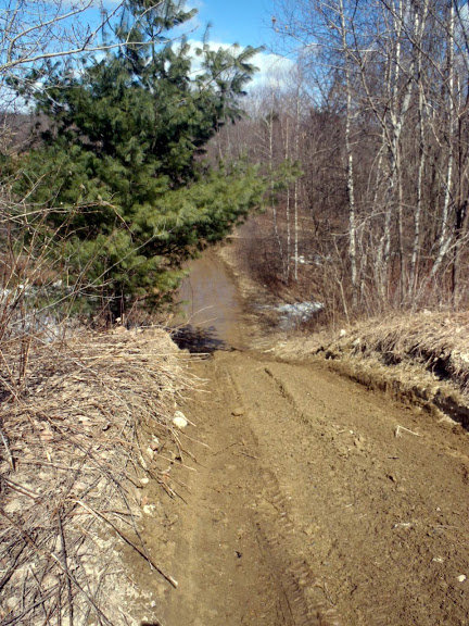 P3260025_f6c78aa1479af87e7ec90b508c34e45fe49aec7e.jpg