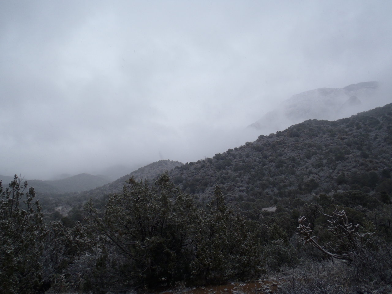 P3314657.jpg
