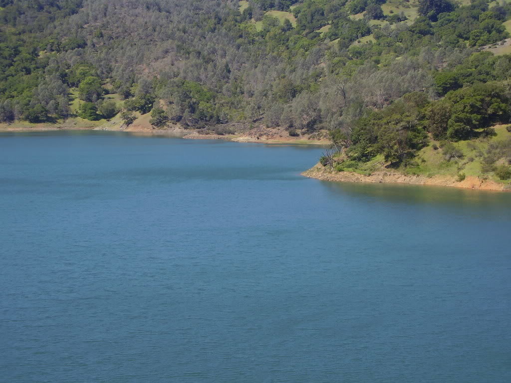 P4090021_6fbe84a450e57f32dbdd2c7c6a26f688483702e3.jpg