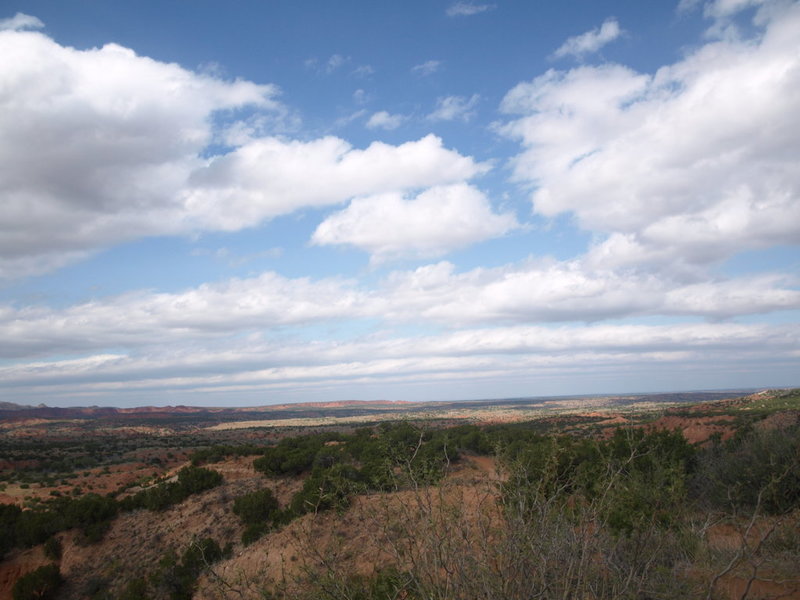 P4117642.jpg