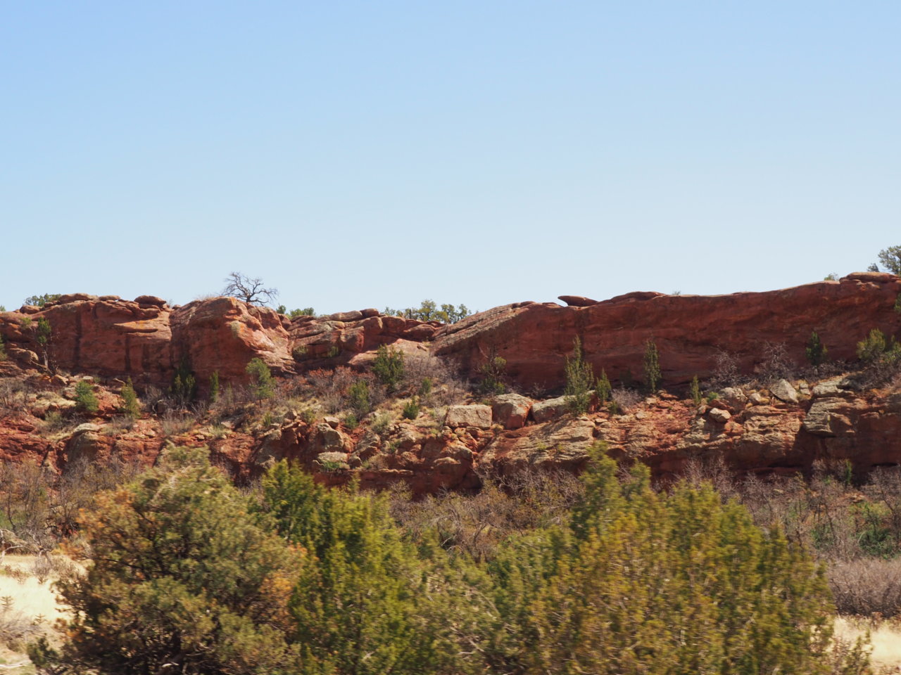 P4283105.jpg