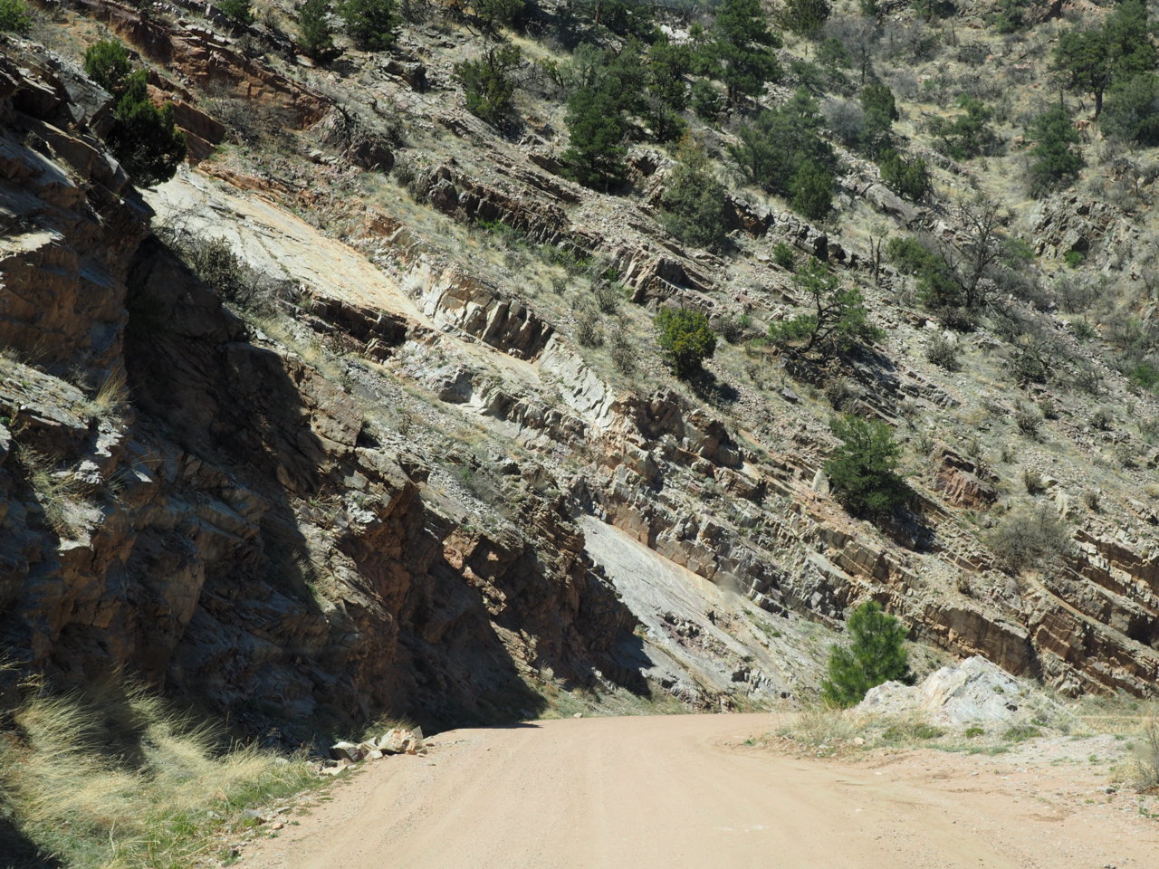 P4283113.jpg