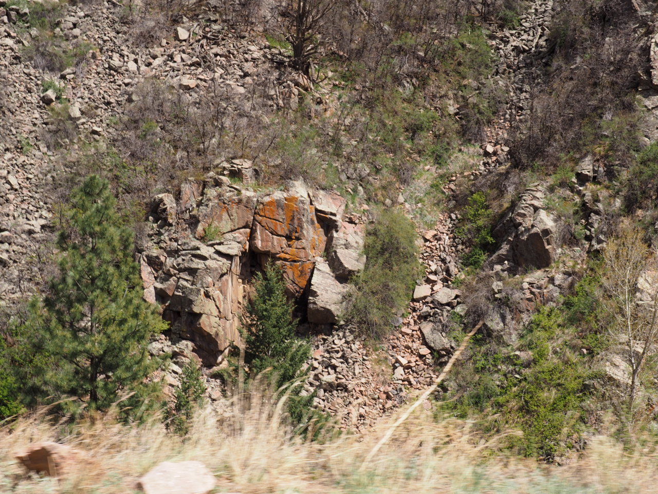 P4283117.jpg