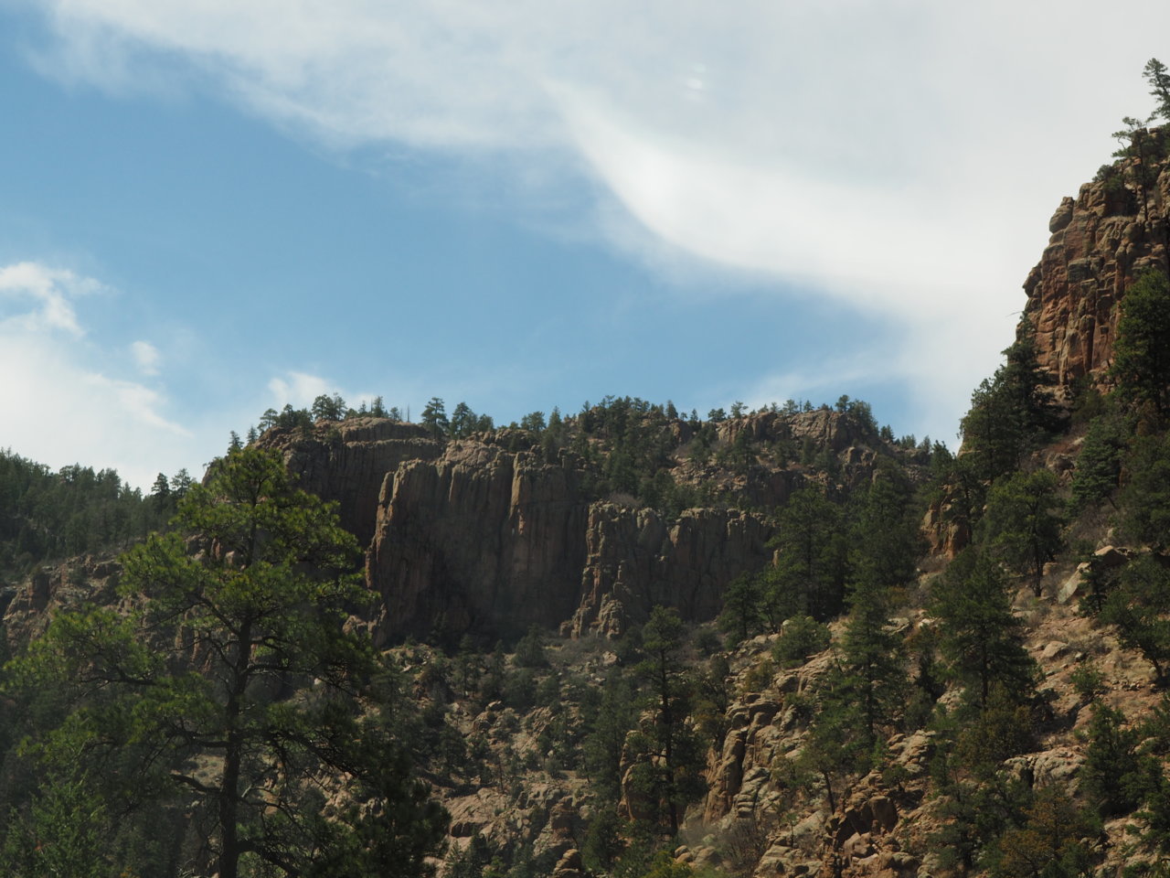 P4283134.jpg
