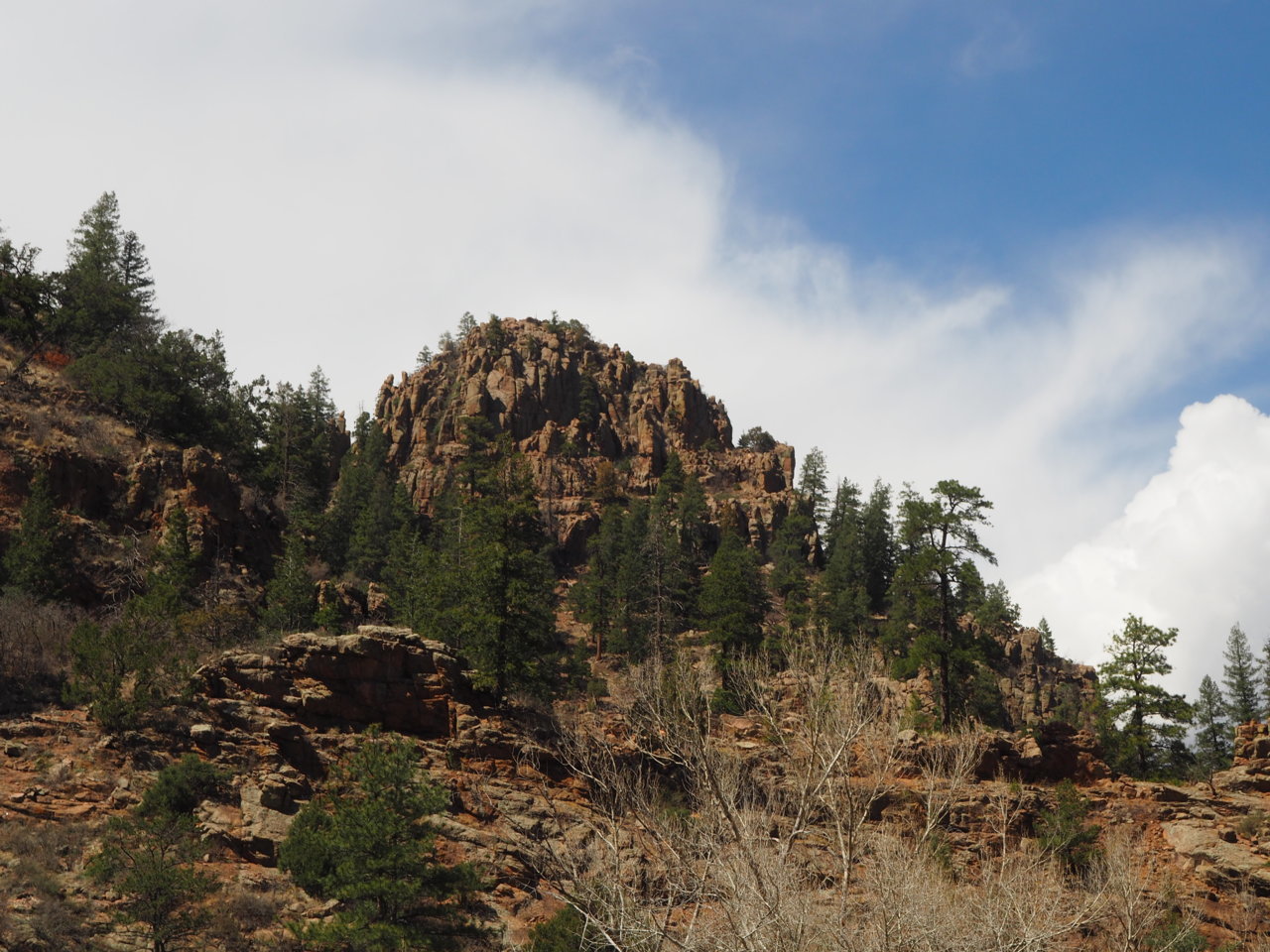 P4283135.jpg