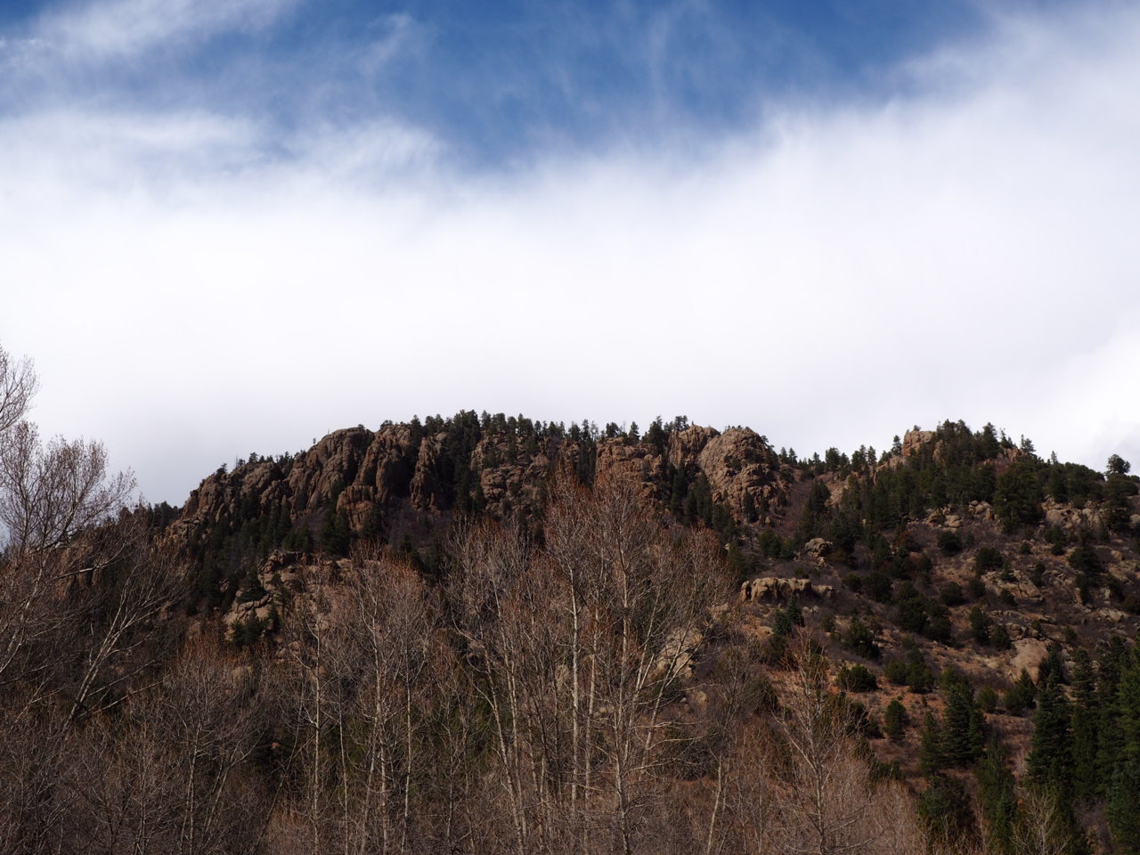 P4283142.jpg