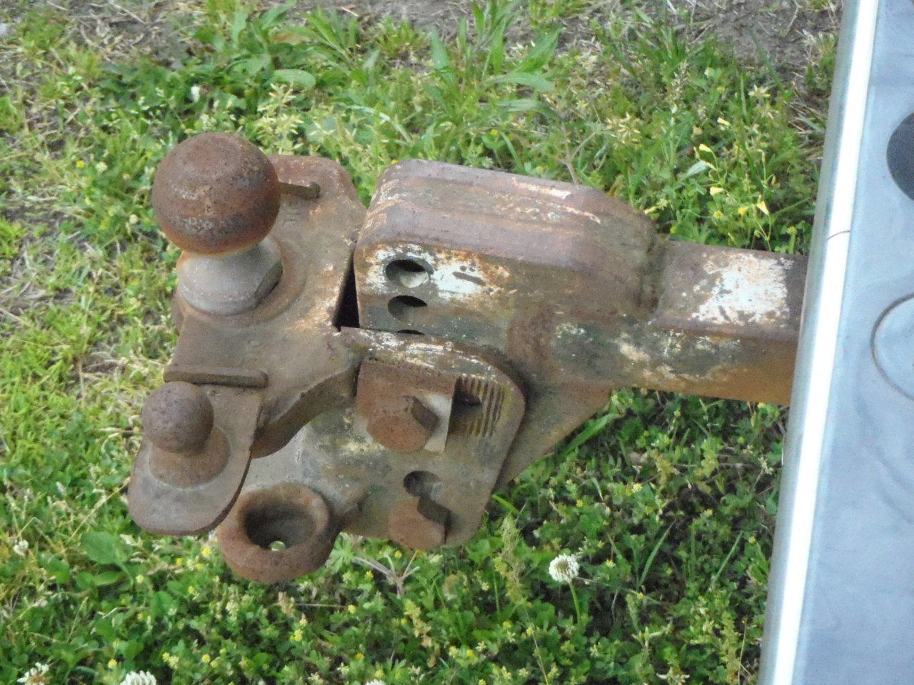 P4300001[1].jpg