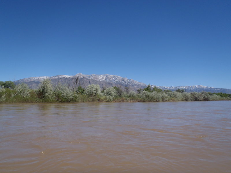 P4302053.jpg