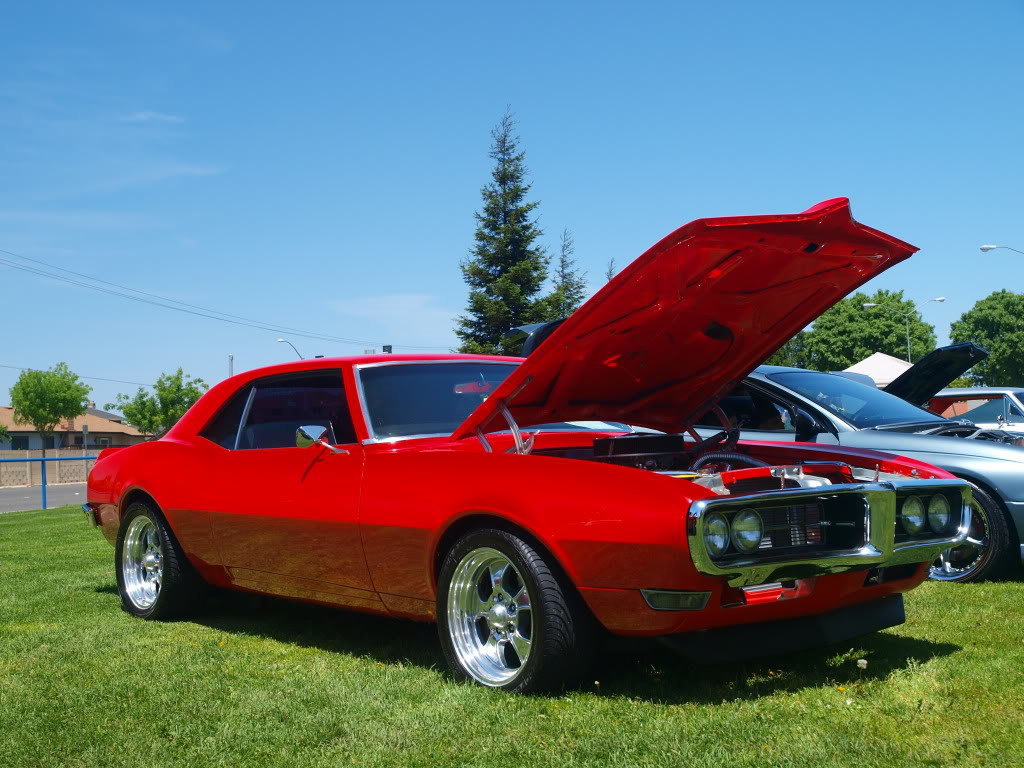 P5082765_c07685513a9943bf6f6c4460c209ef83217bb13c.jpg