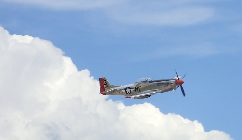 P51 flight close.jpg