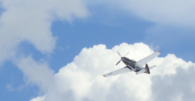 P51 inflight less crop.jpg