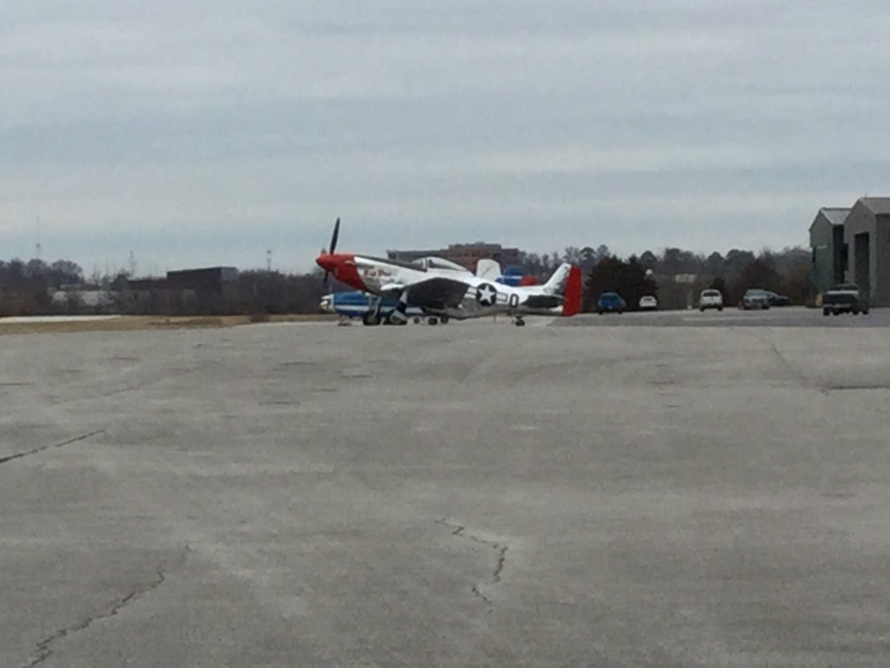 P51.jpg