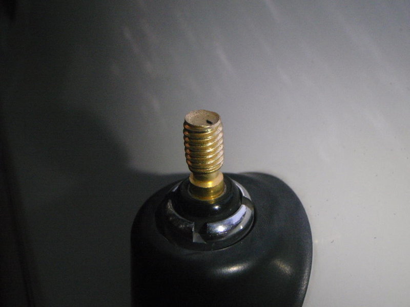P5120006.jpg
