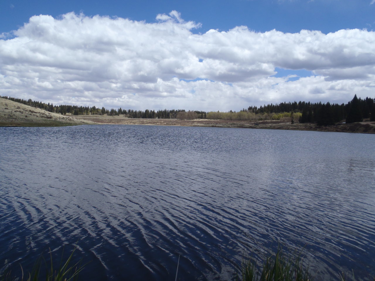 P5152200.jpg