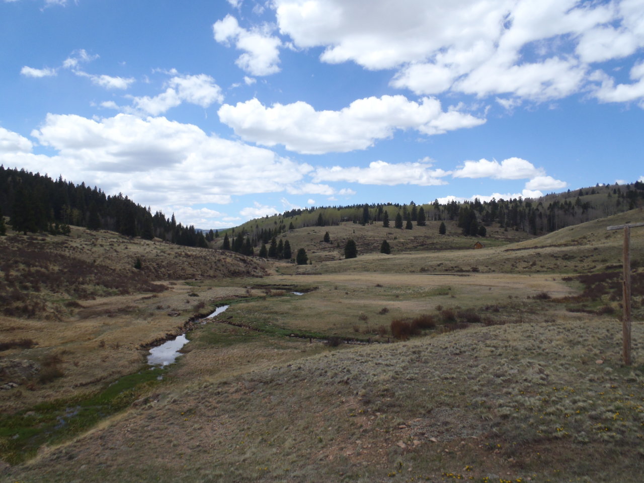 P5152201.jpg
