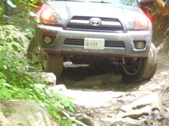 P5200046_4846b36d4f10e58934e82a65f96a7841c6944be6.jpg