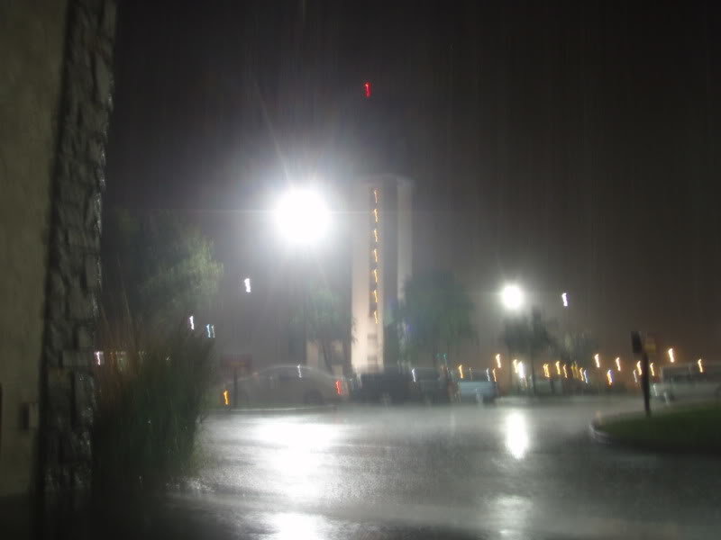 P5210008_b0fe08cf30fa19bf2aab65199aa7b7ce3fbd2c3b.jpg