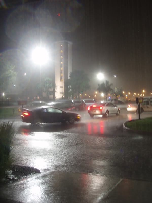 P5210010_4bdd9cce6bd3d9f4840bac7fa9194d606d3adede.jpg