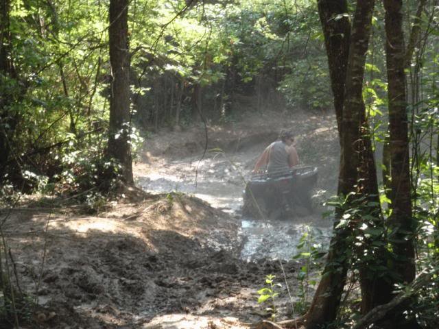P5290269_75abc1df9acb00efe333acaa010d065ce0efcc2d.jpg