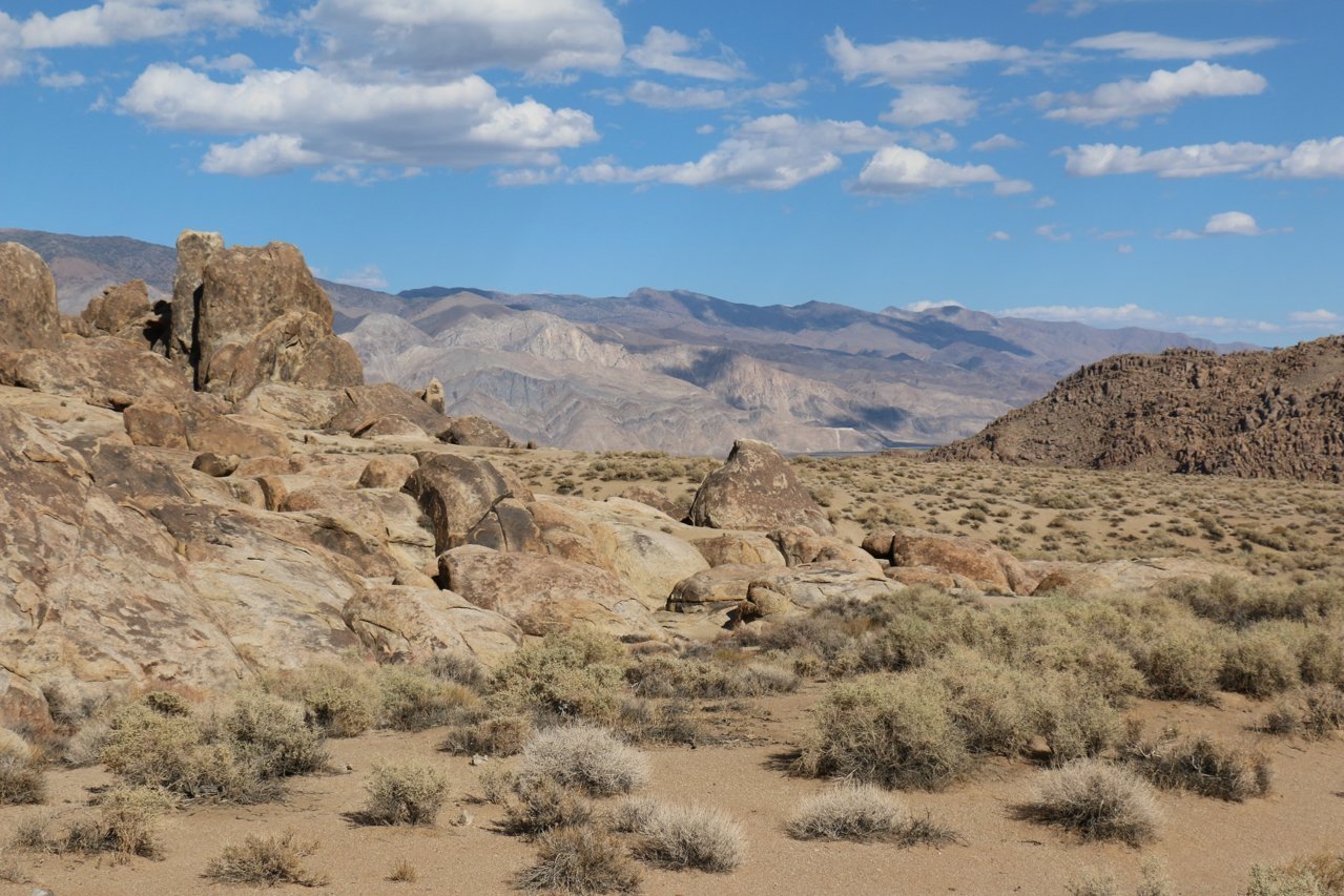 p6.jpg