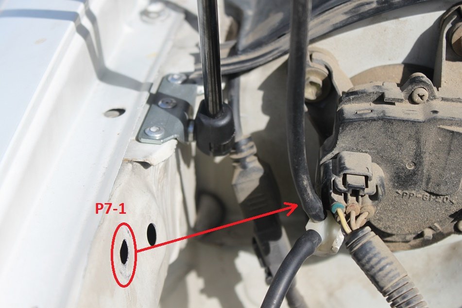 p7.jpg