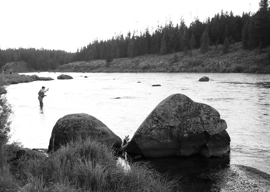 P7074883_3267423744ad8056edf5f8f9b8624ad83d5cb4bd.jpg
