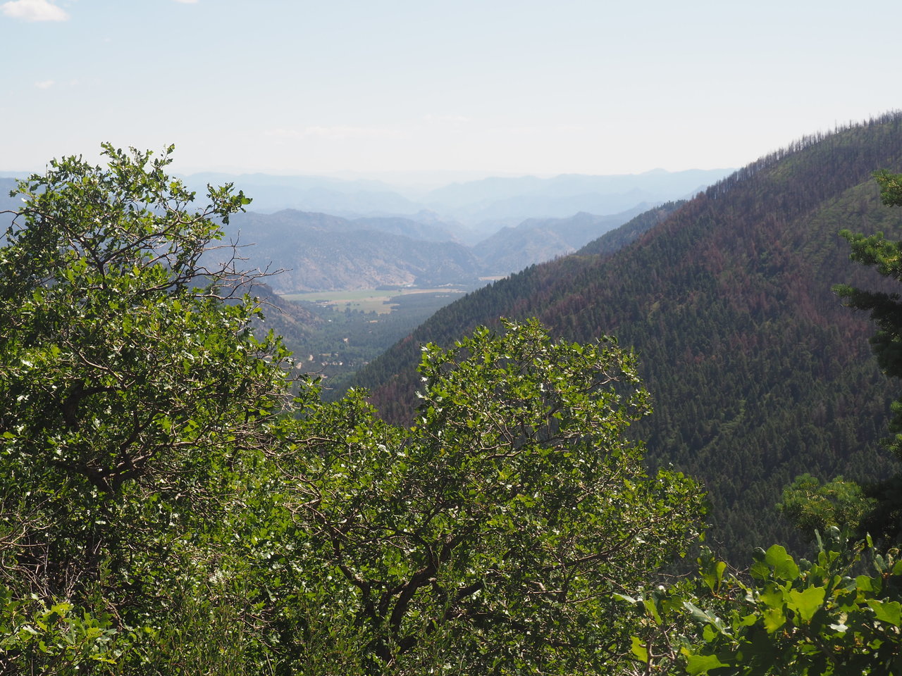 P7092143.jpg
