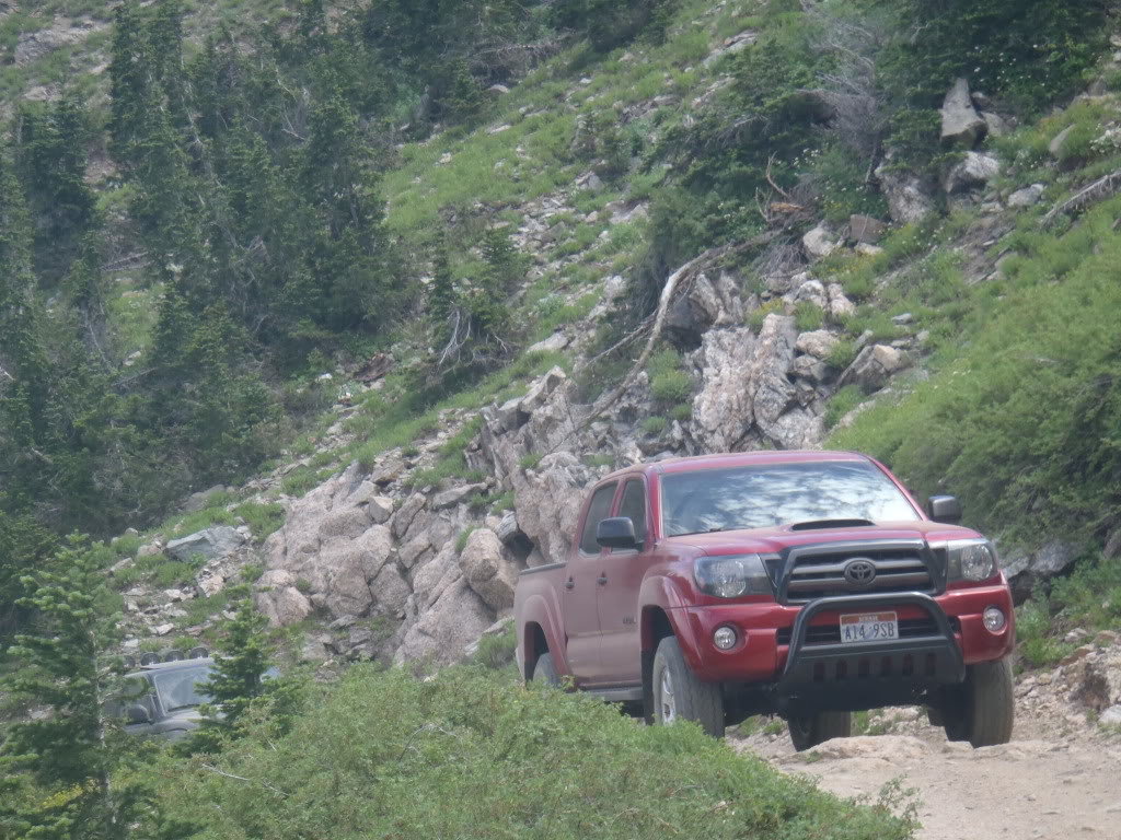 P7170050_751566d67781ac05c5daa71f946e2e3b45029e1a.jpg